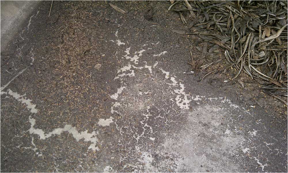 52