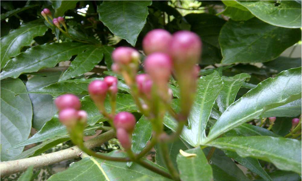 b30