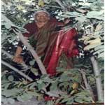 image02